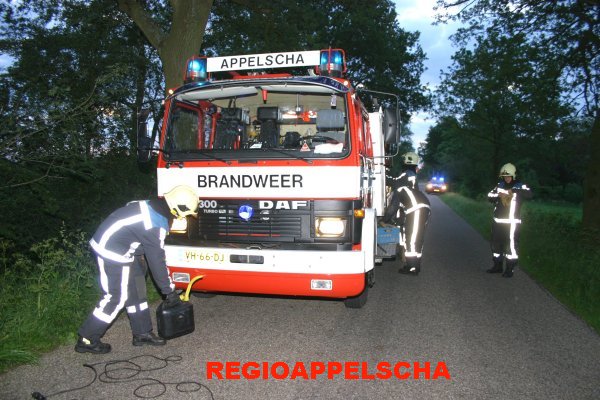 Regio Appelscha
